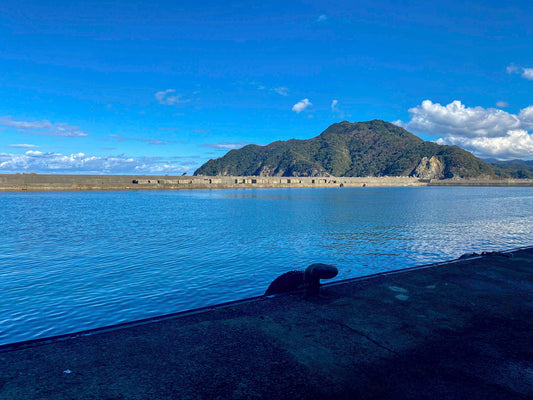 浜坂魚港