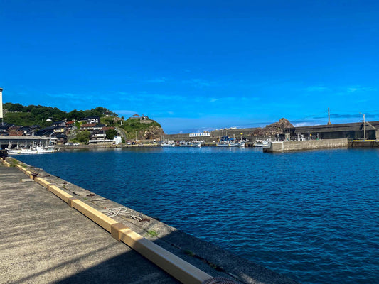 田後港