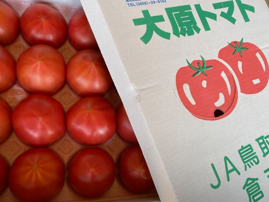 大原トマト