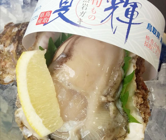 岩ガキ「夏輝」
