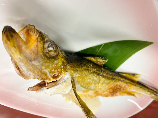 白ハタの塩焼き