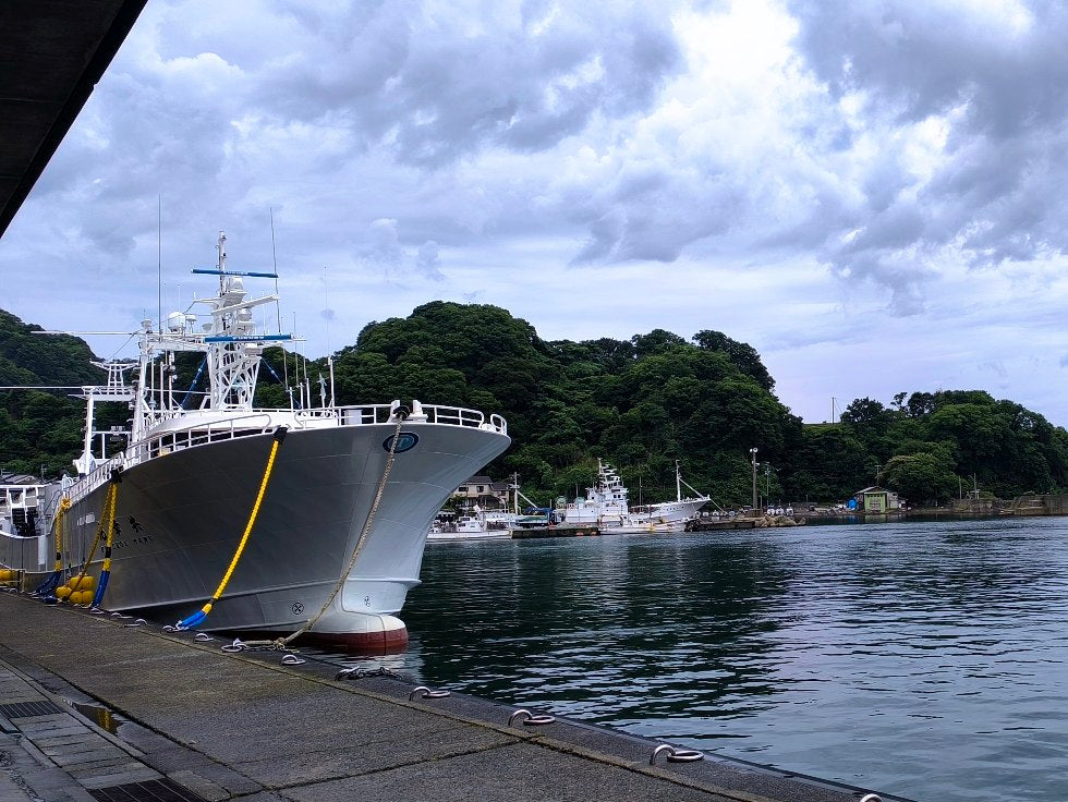 4/18 本日の入荷