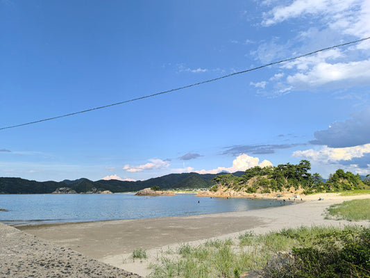 10月20日本日の入荷