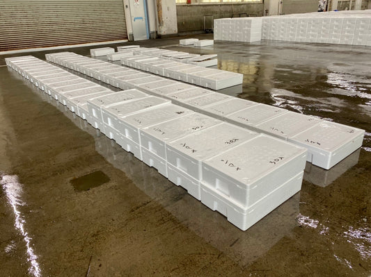 本日の入荷 9/2(金)