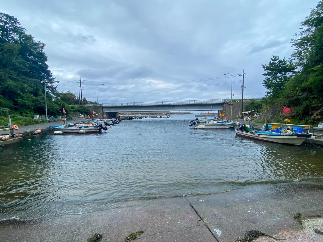 4/16 本日の入荷