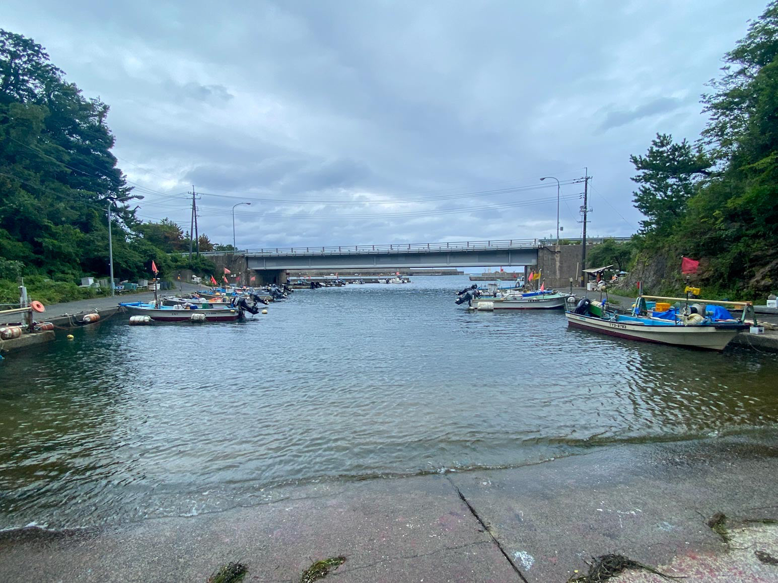 4/22 本日の入荷