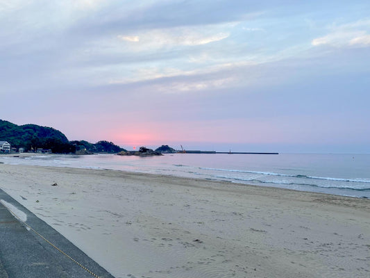 本日の入荷 8/26(金)