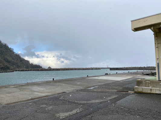 本日の入荷 12/18(日)