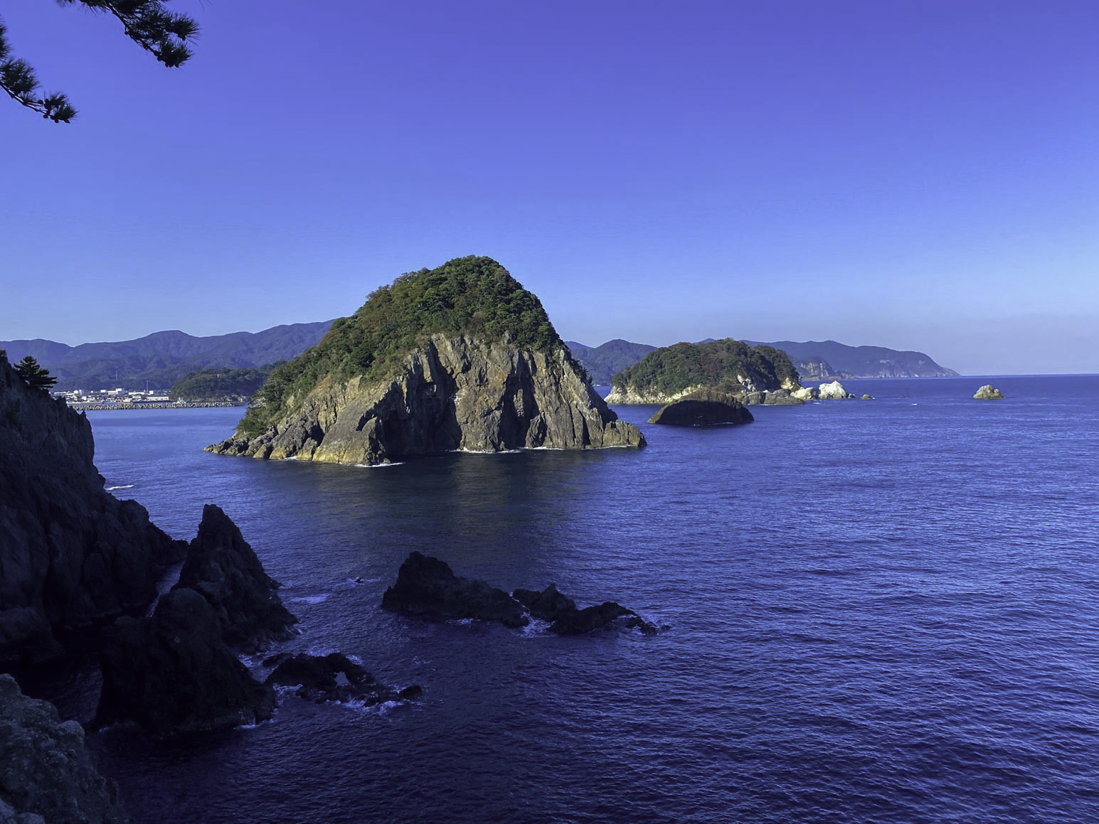 12/11 本日の入荷