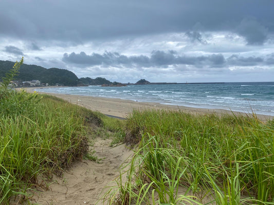 本日の入荷 9/9(金)