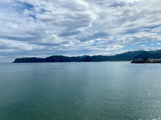 本日の入荷 9/11(日)