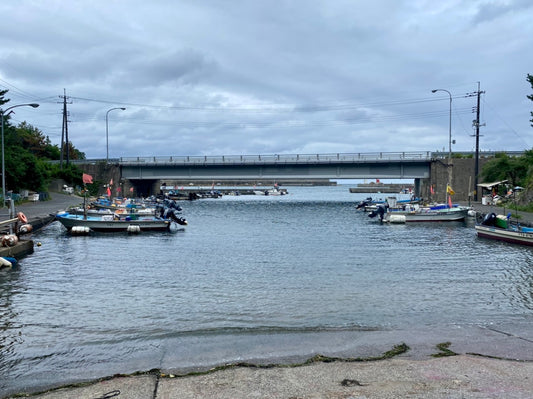 本日の入荷 8/24(水)