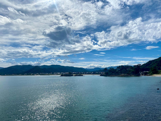 本日の入荷 8/31(水)