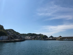 本日の入荷 7/27(水)