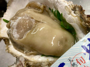 ボンベ牡蠣