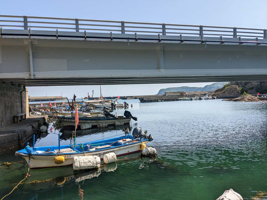 本日の入荷 5/1(月)