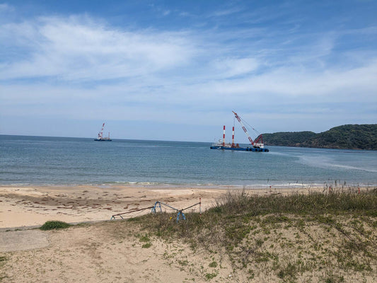 本日の入荷 5/4(木)