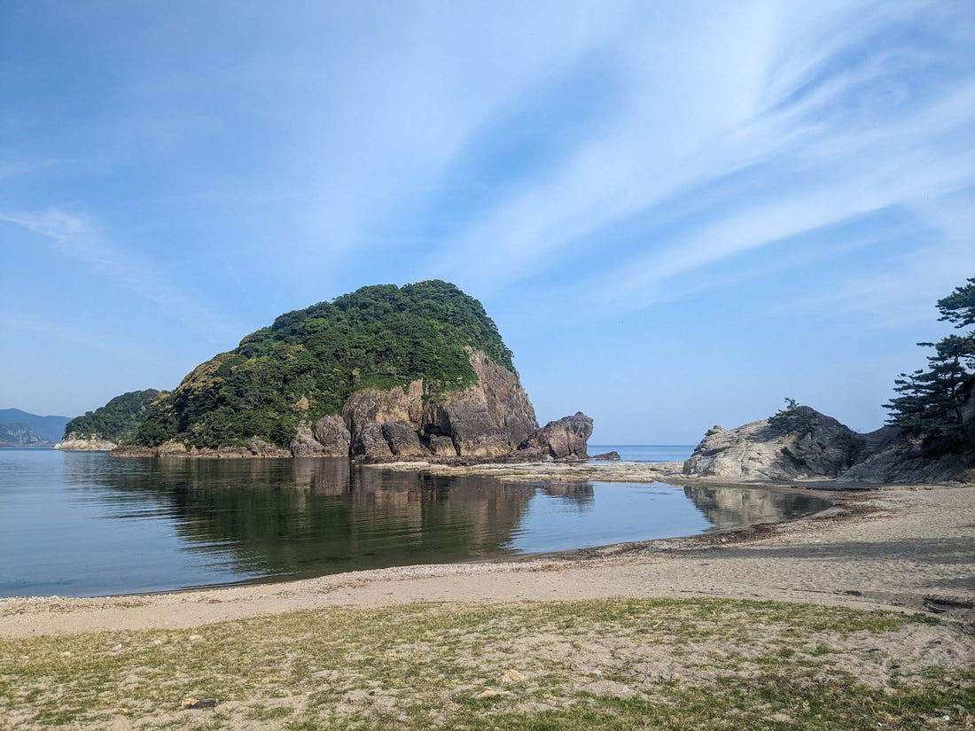 岩ガキに関わる兵庫県但馬地域の海水調査について。