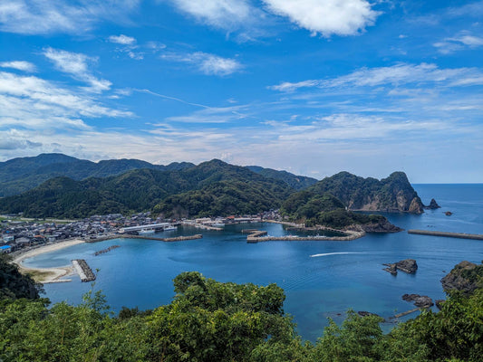 本日の入荷 8/25(金)