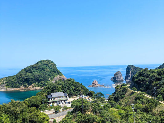 本日の入荷 8/27(日)