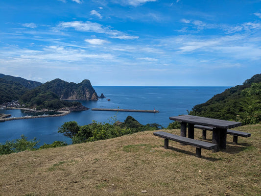 本日の入荷 8/31(木)