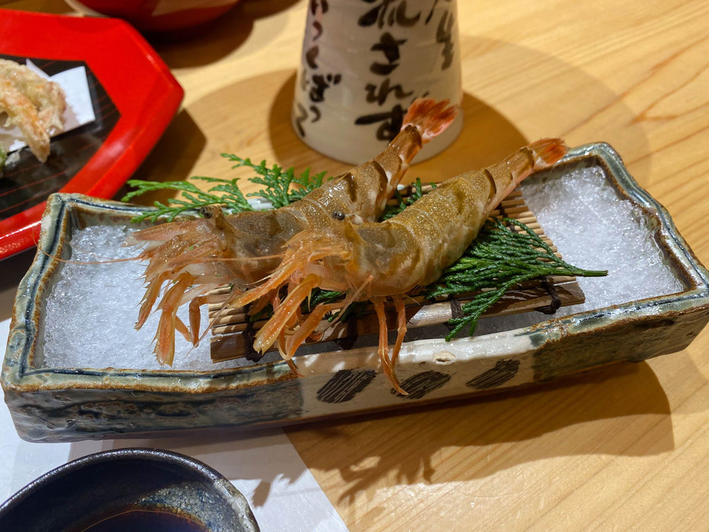 冬春限定　活モサエビ