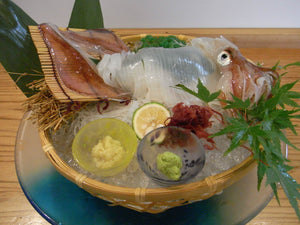 活白イカ